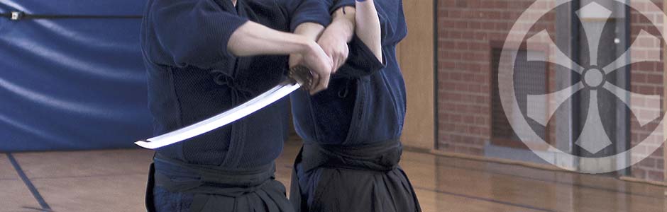 Schwertabwehr (tachidori) - Ryūsuikai Aikibudō